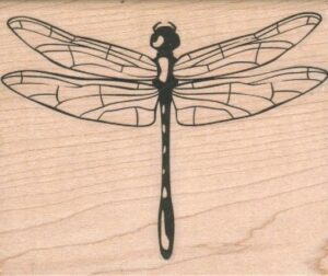 Dragonfly Large/Clear 3 x 3 1/2-0