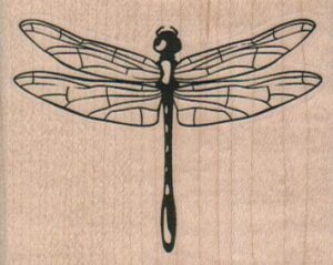 Dragonfly Medium/Clear 2 1/2 x 2-0