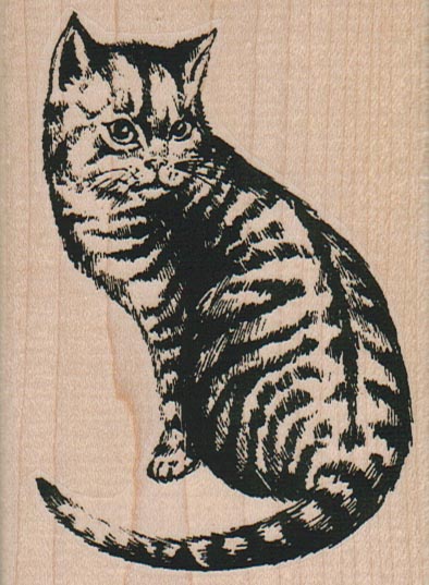 Cat Looking Back 2 3/4 x 3 3/4-0
