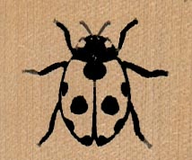 Ladybug 1 1/2 x 1 1/4-0