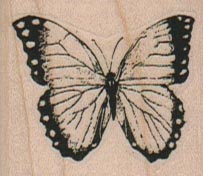Butterfly/Spotted Wings/Sm 1 1//2 x 1 1/4-0