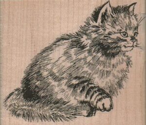 Cat With Raised Paw 3 1/2 x 3-0