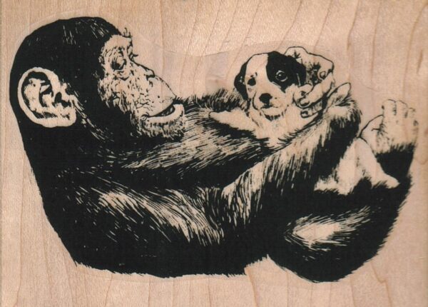 Monkey And Pup 3 3/4 x 2 3/4-0