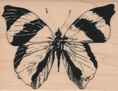 Butterfly Striped/Large 3 1/2 x 4 1/4-0