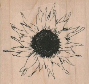 Sunflower Large 4 x 3 3/4-0