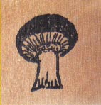 Mushroom 1 x 1-0