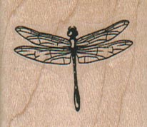 Dragonfly/Small/Clear 1 1/2 x 1 1/4-0