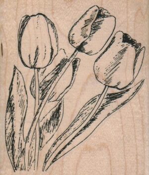 Four Tulips 3 1/4 x 3 3/4-0