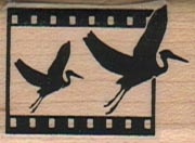 Crane Film Strip 1 x 1 1/4-0