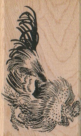 Rooster 2 x 3 1/4-0