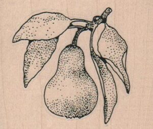 Pear 2 1/2 x 2-0