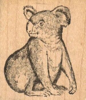 Koala Looking Backwards 2 x 2 1/4-0