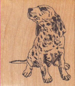 Spotted Dalmatian Looker 2 1/4 x 2 1/2-0