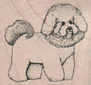 Bichon Frise 3 1/2 x 3 1/4-0