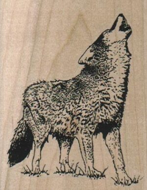 Howling Wolf 2 1/4 x 2 3/4-0