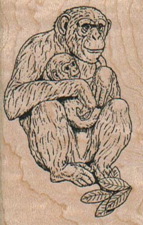 Chimp & Baby 1 1/2 x 2 1/4-0