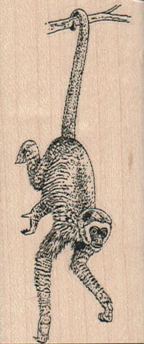 Monkey Hanging By Tail 1 1/2 x 3 1/2-0