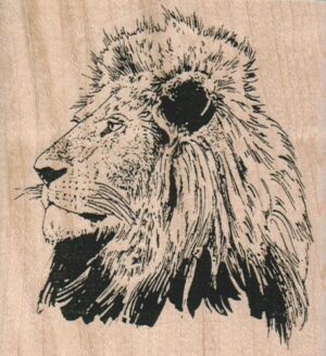 Lion Head 3 1/4 x 3 1/2-0