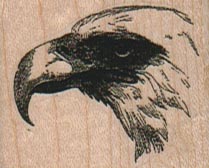 Eagle Beak 1 1/2 x 1 1/4-0