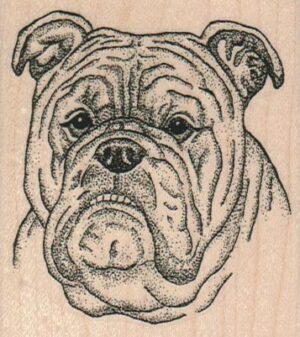 Sad Bulldog 2 1/2 x 2 3/4-0