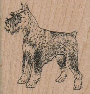 Schnauzer 2 1/4 x 2 1/4-0