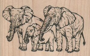 Elephant Family 4 x 2 3/4-0