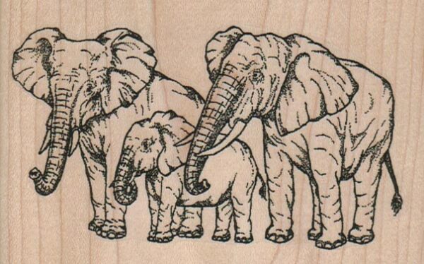 Elephant Family 4 x 2 3/4-0