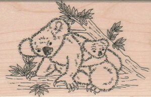 Koalas Up A Tree 3 3/4 x 2 1/2-0