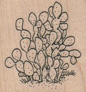 Prickly Pear Cactus 2 1/4 x 2 1/4-0