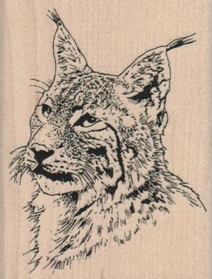 Lynx 2 3/4 x 3 1/2-0