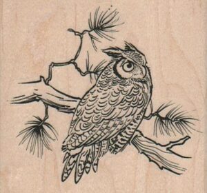 Owl On Branch 3 x 2 3/4-0