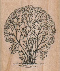 Medium Tree/Leaves 1 1/2 x 1 3/4-0