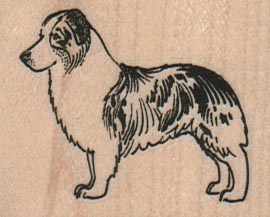 Australian Shepherd Side 2 x 1 1/2-0