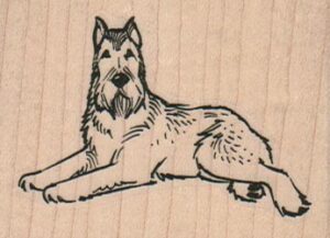 Schnauzer Lying Down 2 1/2 x 1 3/4-0