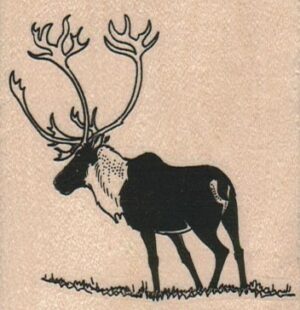 Silhouette Caribou 2 1/2 x 2 1/2-0