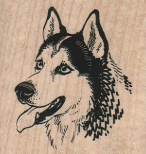 Husky Dog 2 1/4 x 2 1/4-0