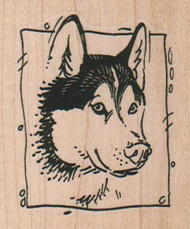 Framed Husky Dog 2 x 2 1/4-0