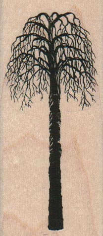 Tall Tree Bare 1 1/2 x 3 1/4-0