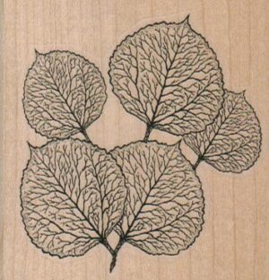 Veined Leaves 2 1/2 x 2 1/2-0