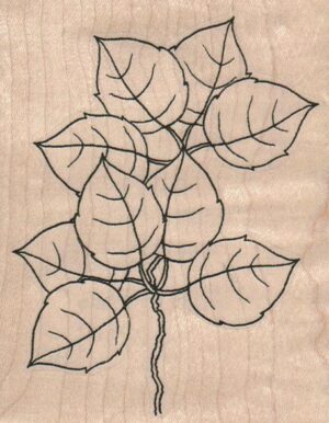 Leaves 3 1/4 x 4-0