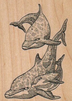 Dolphin Trio 2 3/4 x 3 3/4-0