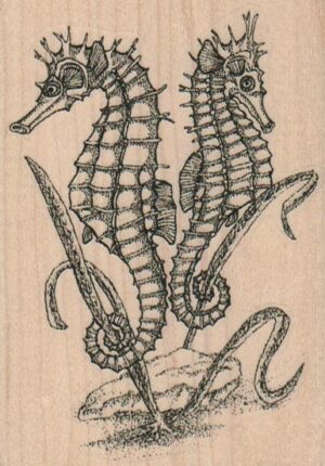 Seahorses Facing Away 2 3/4 x 3 3/4-0