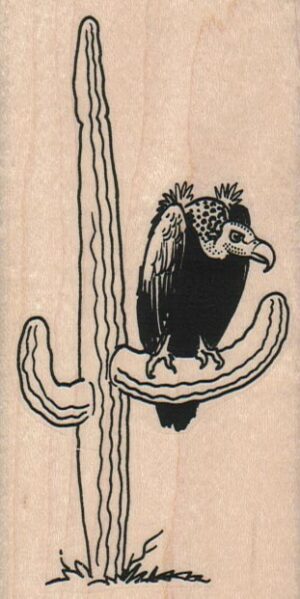 Vulture On Cactus 2 1/4 x 4 1/4-0