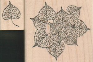 Veined Leaves (Set of 2) 2 3/4 x 2 1/2 & 1 x 1 1/4-0