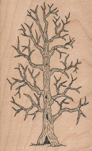 Leafless Tree 2 3/4 x 4 1/4-0