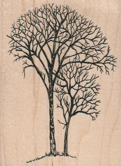 Leafless Trees 3 x 4-0