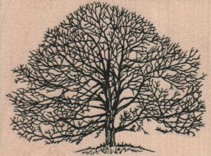 Bare Tree Large 4 1/4 x 3-0