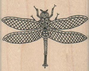 Steampunk Dragonfly 2 1/2 x 2-0