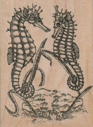 SeaHorses Facing 2 3/4 x 3 3/4-0