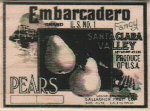 Embarcadero Pears Photo Image Label 2 1/4 x 3-0